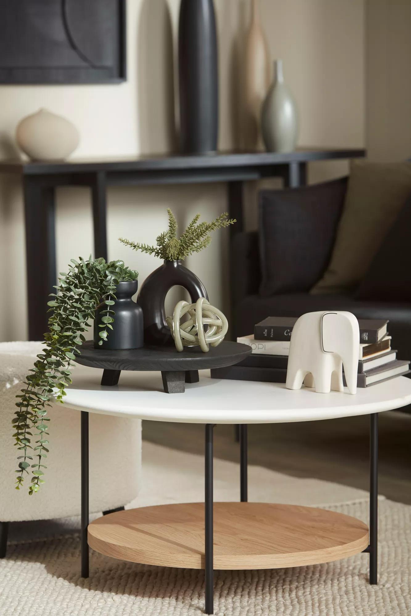 Waterfall Eucalyptus in Black Pot