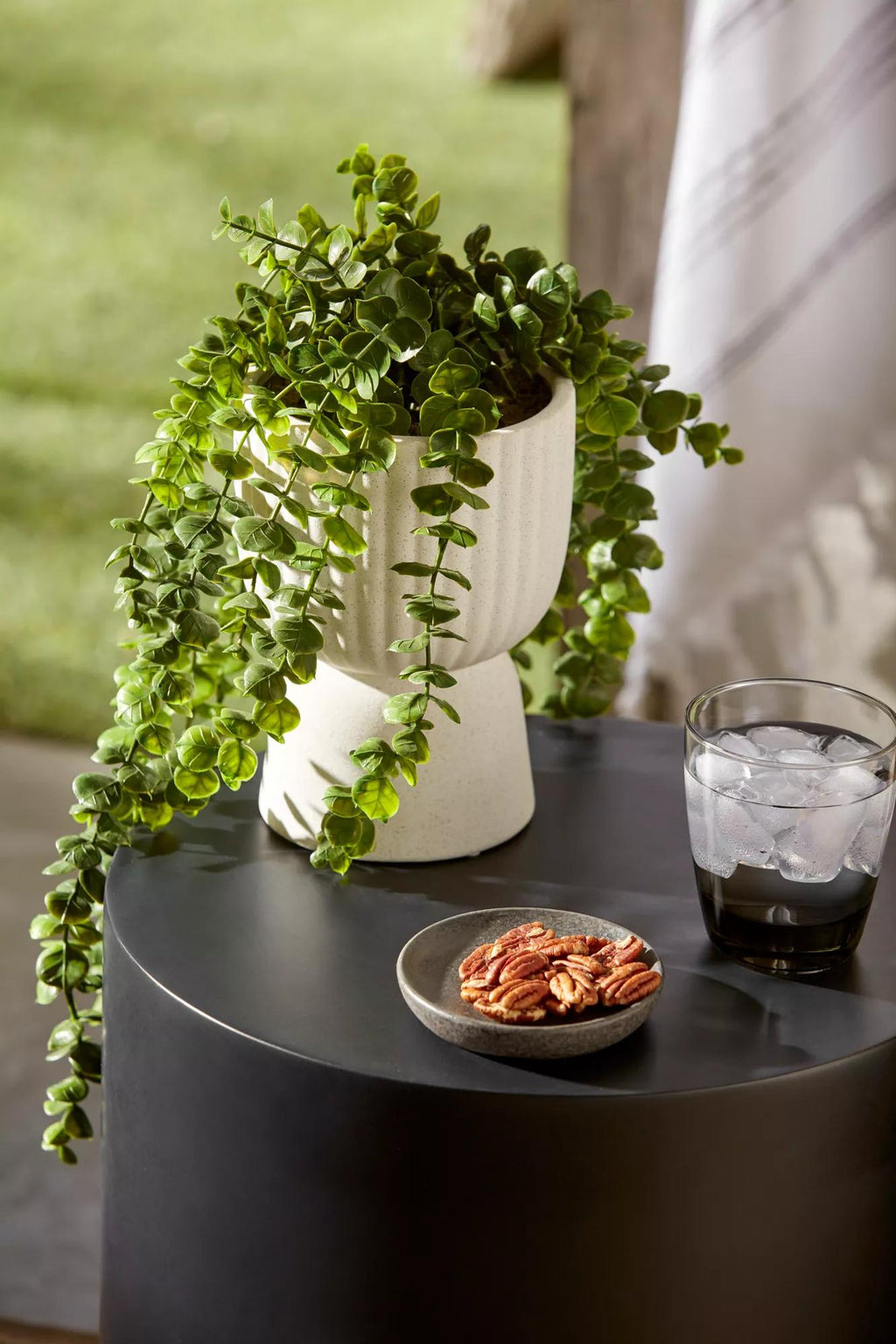 Waterfall Eucalyptus in White Hourglass Pot