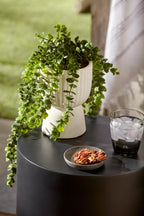 Waterfall Eucalyptus in White Hourglass Pot