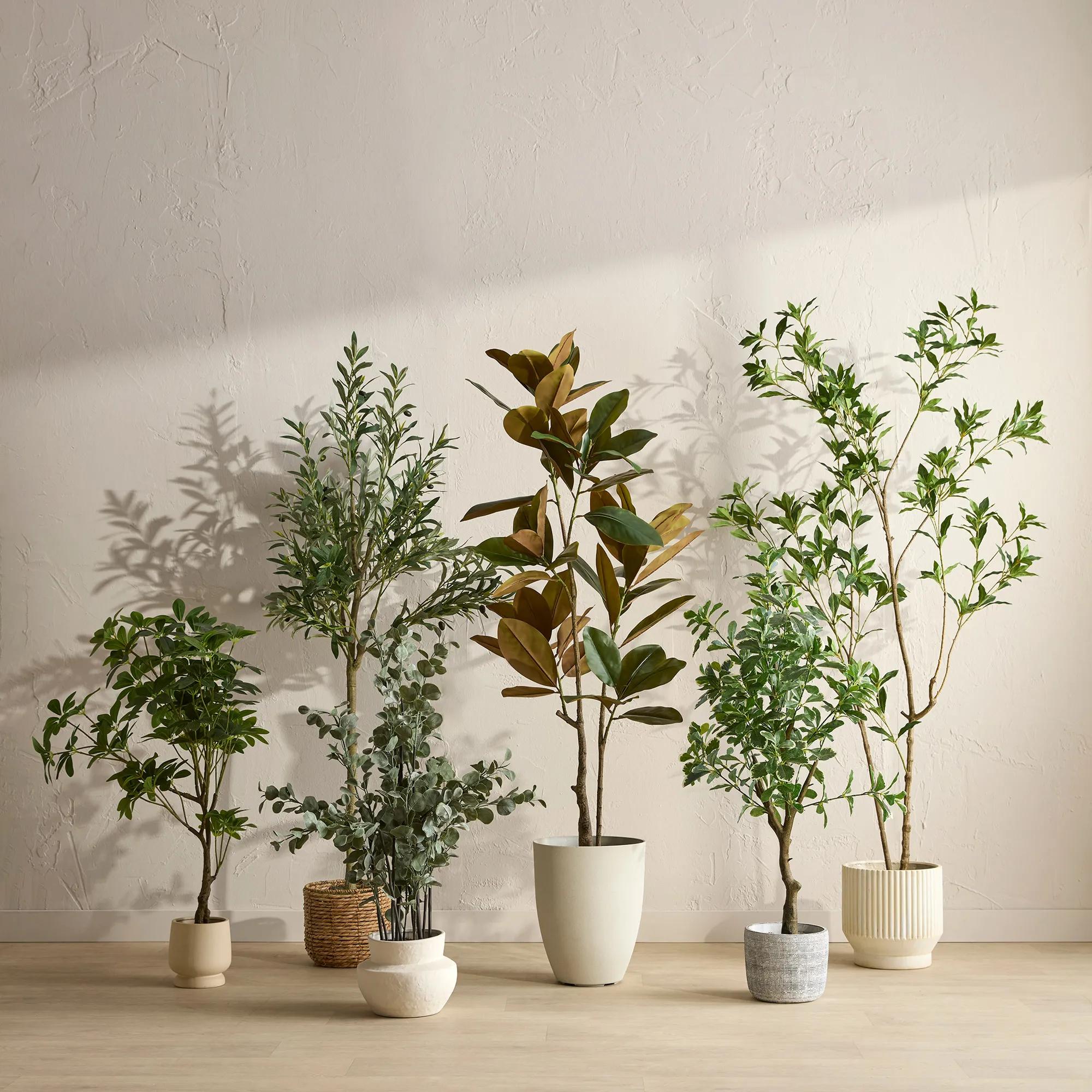 Large Artificial Aralia Tree