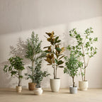 Artificial Ficus Tree