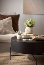 Succulent in Ceramic Pot