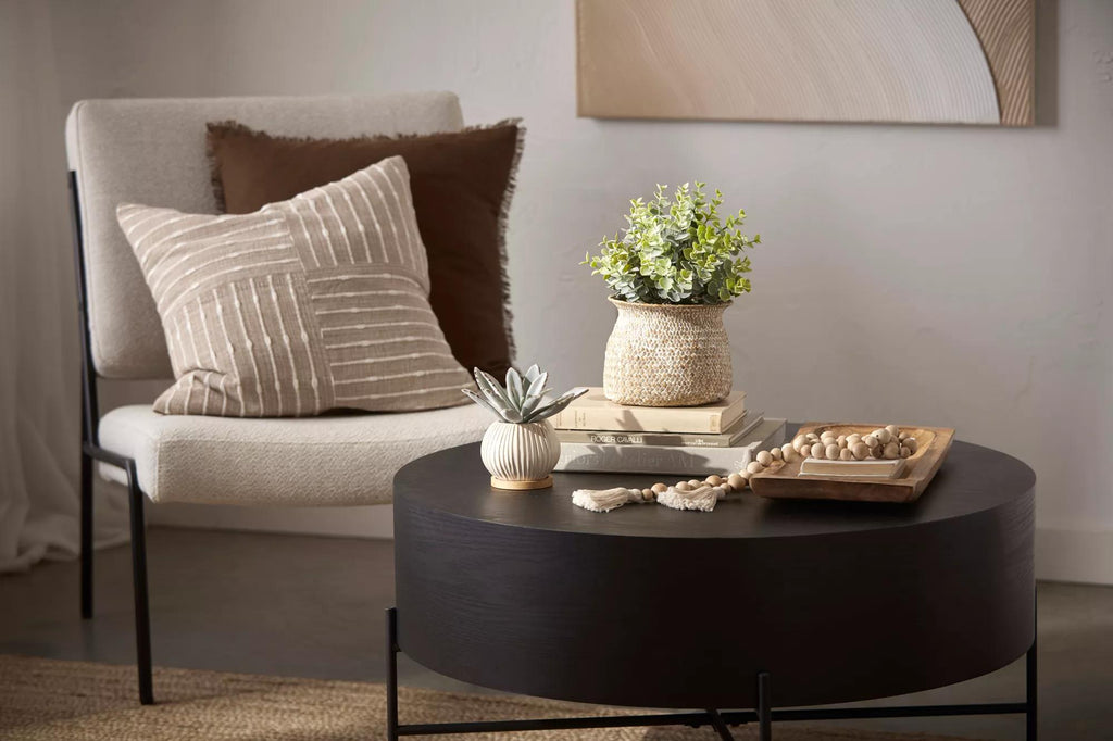 Succulent in Ceramic Pot