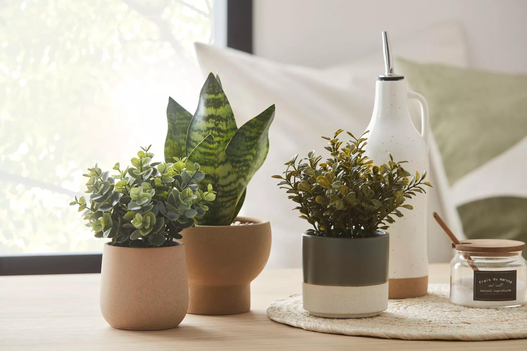 Ceramic Oil Bottle with Pouring Spout