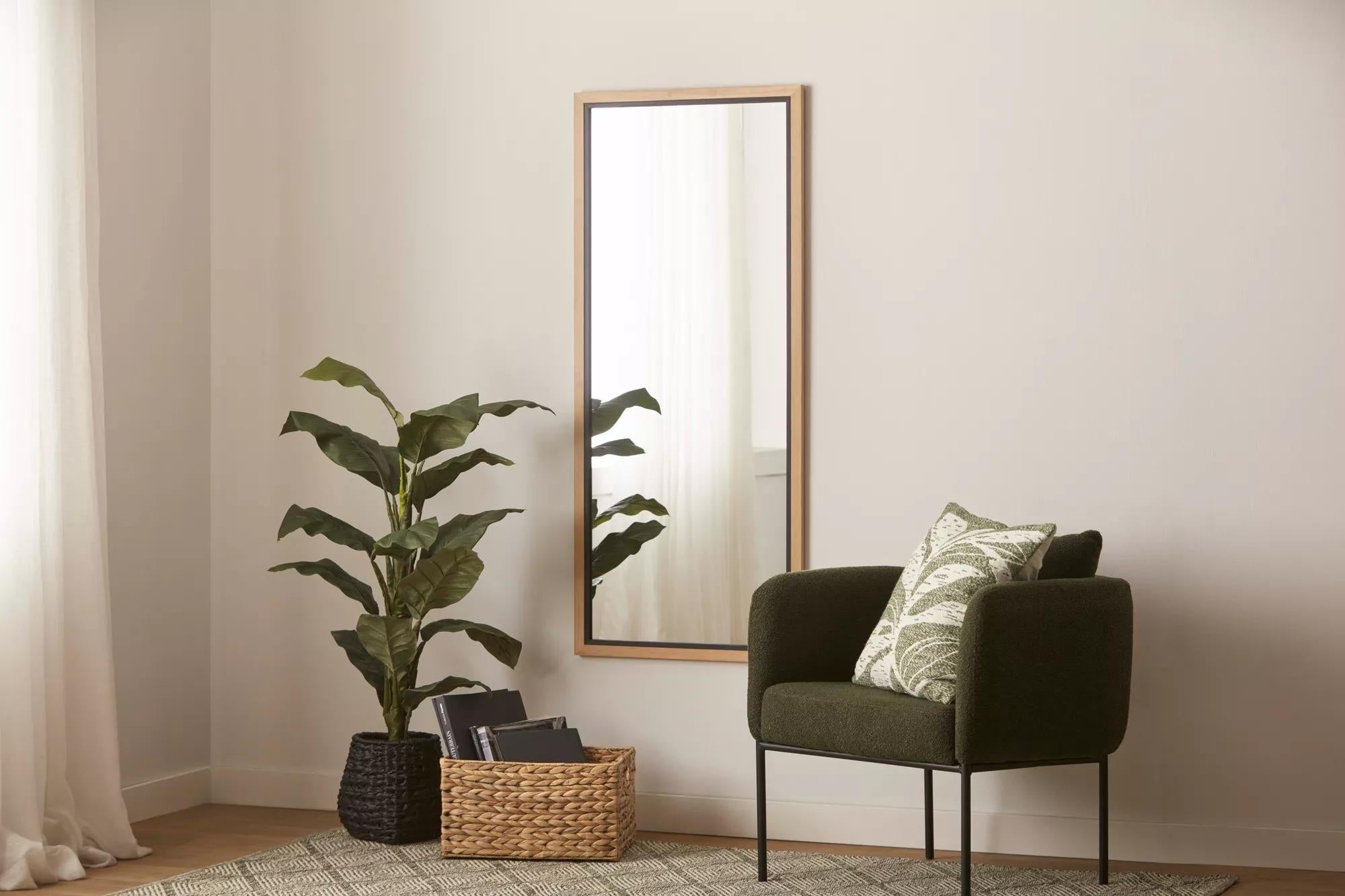 Large  Ficus in Black Rattan Pot