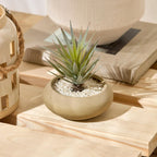 Artificial Plant in Ceramic Pot