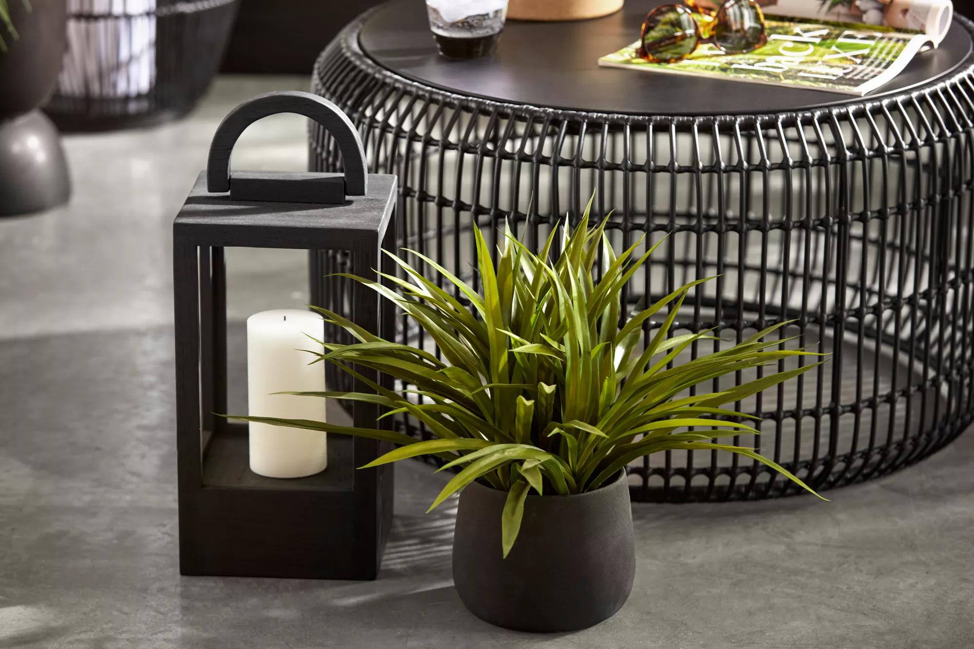 Grass in Ceramic Pot