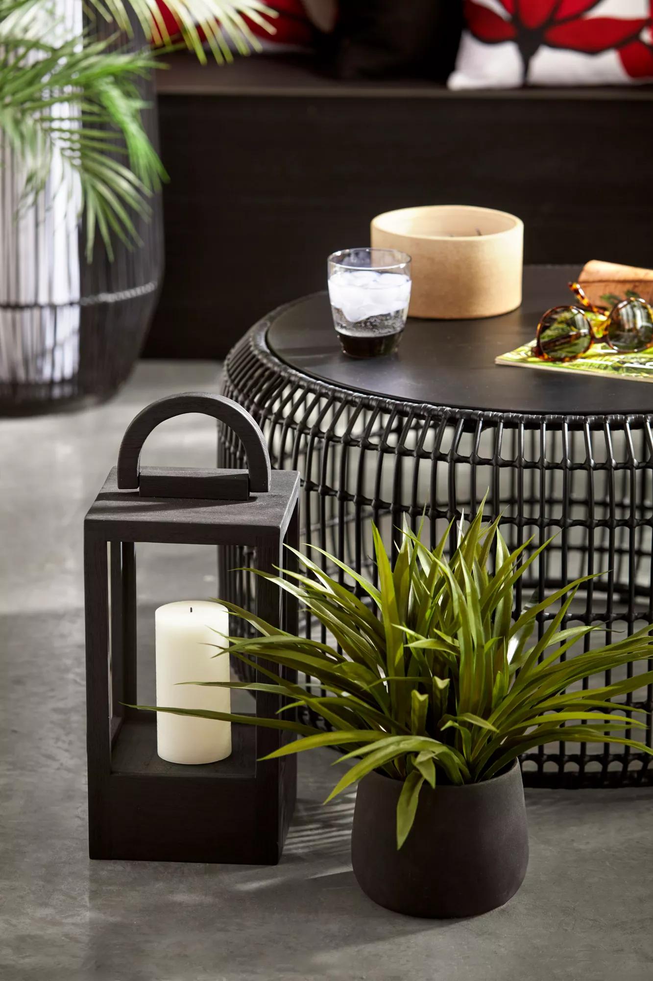 Grass in Ceramic Pot